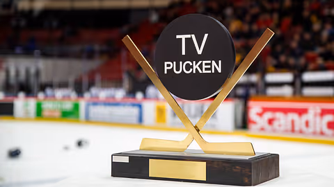 TV-Pucken + Workplanner = Sant!